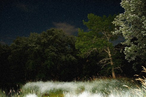 Countryside at night