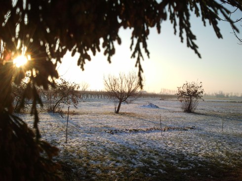 Borgo Massenzio lunedì 10 dic 2012: se l'Inter vince anche a -4 gradi il sole sembra scaldare - foto di TT -
