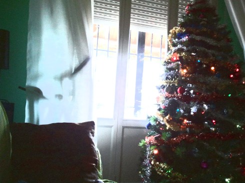 Domus Saurea Xmas Tree - foto di TT