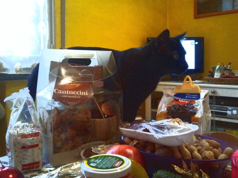 Palmiro viene a controllare se il demone ha lasciato il mio corpo - foto di TT