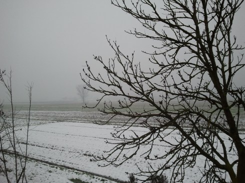 View From The Window - Borgo Massenzio - foto di TT