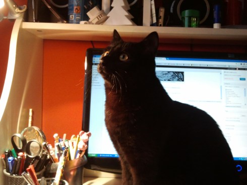 Palmir ascolta il Rondò - foto di TT