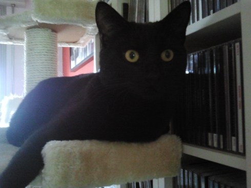 Palmiro e lo sguardo attonito - foto di TT