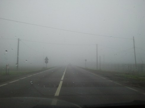 Foggy day in Gavassae - foto di TT