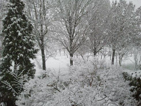 View from the domus surea windows - Foto di TT