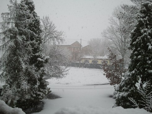 View from domus saurea's windows - foto di TT