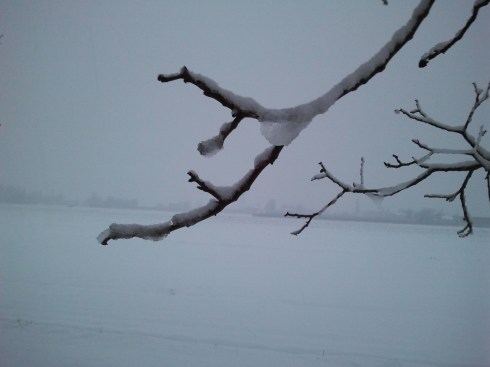 Neve e foschia a Borgo Massenzio - foto di TT