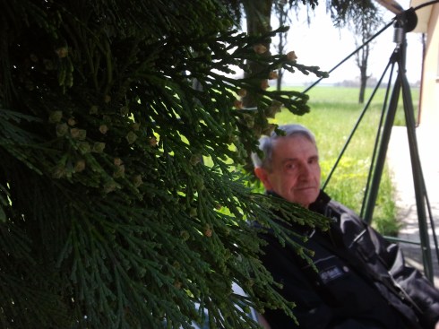 Brian alla domus saurea - foto di TT