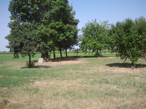 Domus Saurea agosto 2013 - foto di TT