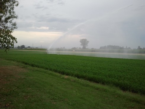 Borgo Massenzio - watering the meadows - foto di TT