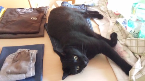 Palmiro aiuta nello stiraggio - foto di LST