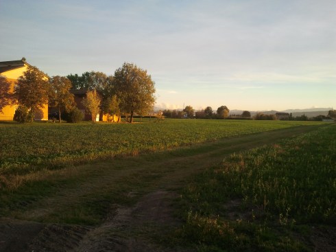 Domus Saurea in settembre - foto di TT