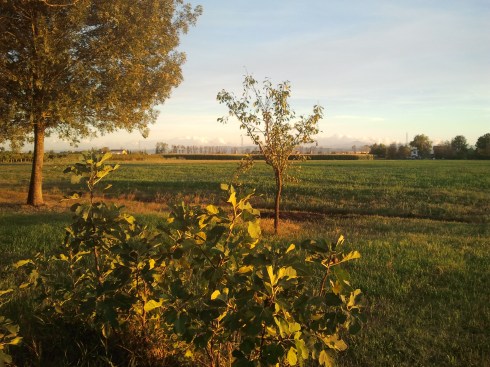 Domus Saurea in Settembre - foto di TT