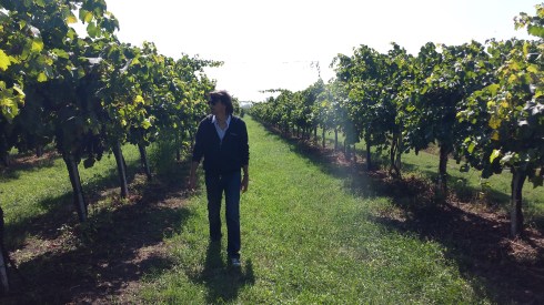 TT - one for the vine - sett 2013