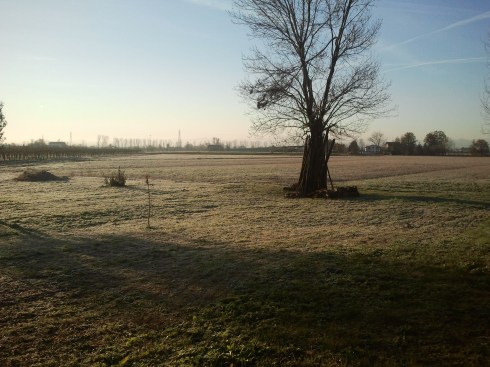 La tundra gelata intorno alla domus saurea - foto di TT