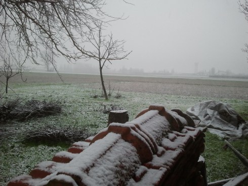 28/01/2014 Borgo Massenzio: prima neve alla Domus saurea - foto di TT