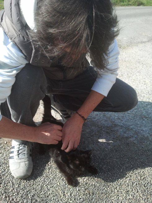 Tim Tirelli e la gattina nera (foto della groupie)