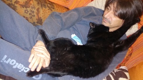 Tyrrell e il gatto Palmiro sotto i fumi del Sothern Comfort