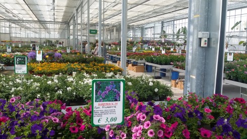 Mazzini, Gavasseto (RE)