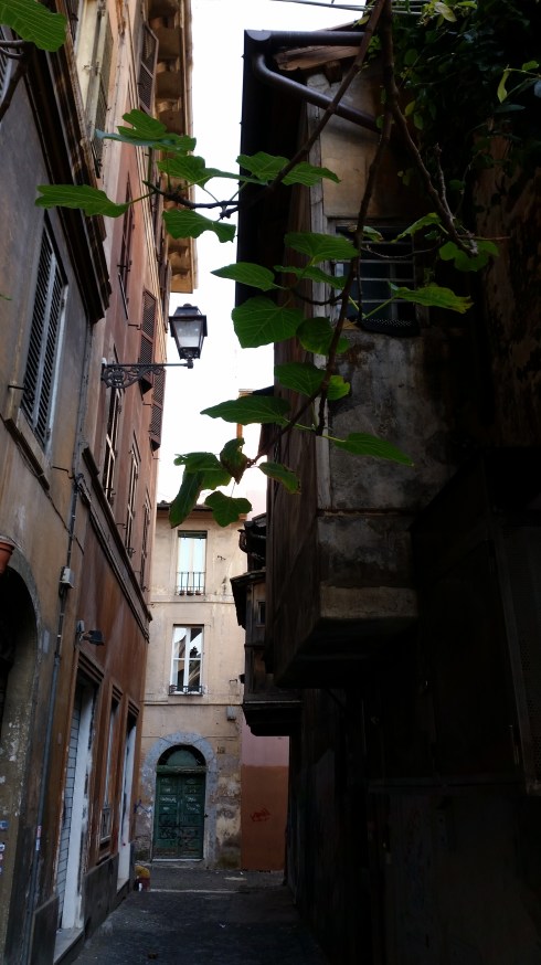 Via Madonna dei Monti (particolare) (foto di TT)