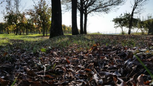 Autumn in Borgo Massenzio (foto di TT)