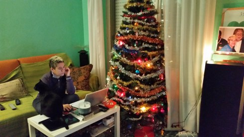 Interno sera: gatto, groupie e Xmas tree - Domus saurea dic 2014