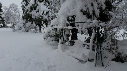 SNOWBOUND in Borgo Massenzio -  Domus Saura: la nevicata del 6 febbraio - foto di TT