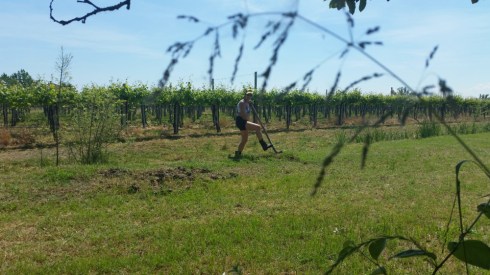 Hoedown con la Terry (foto Palmiro T)