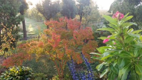 October at Domus Saurea - Photo TT