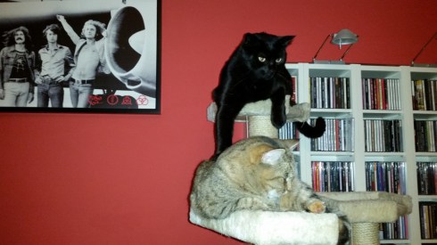 Domus Saurea - nov 2015 - photo TT