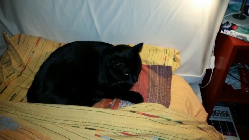 Domus Saurea - nov 2015 - photo TT