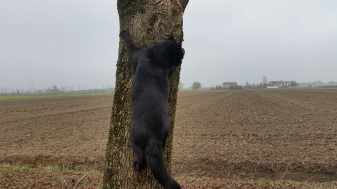 Domus Saurea - nov 2015 - photo TT