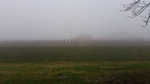 Foggy days at Domus Saurea - foto TT
