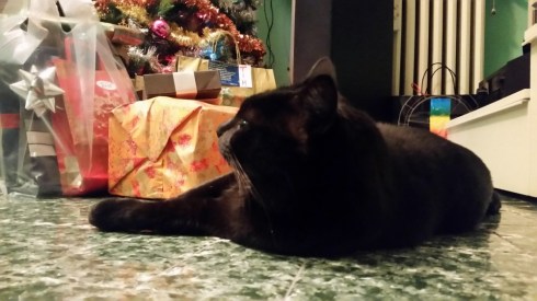 Domus Saurea late december 2015 