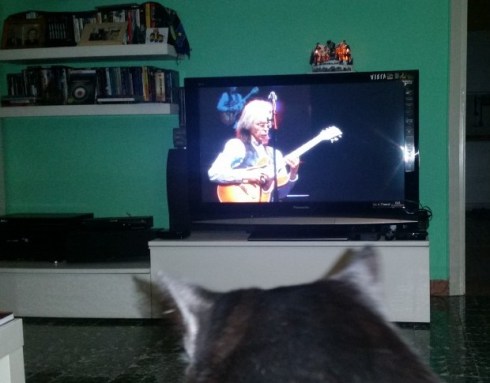 Domus Saurea late december 2015 