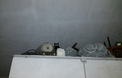 Garage blues - Domus Saurea late december 2015 