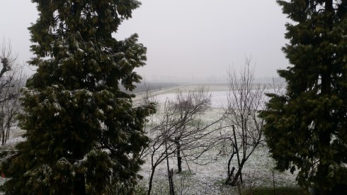 Domus Saurea gennaio 2016 - foto TT