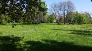 Walking Blues - Stonecity park aprile 2016 - foto TT 