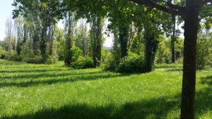 Walking Blues - Stonecity park aprile 2016 - foto TT 