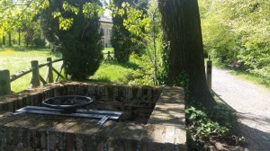 Walking Blues - Stonecity park aprile 2016 - foto TT 