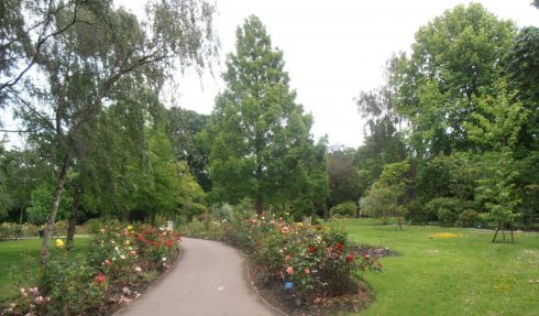 Golders Green - Photo Saura T