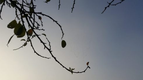 Foggy day at Domus Saurea - ottobre 2016 - foto TT