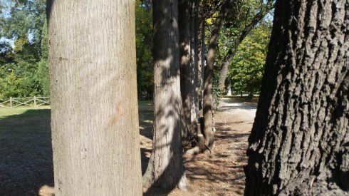 Parco di Villa Vistarino - Stonecity - foto TT