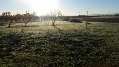 Cold cuntryside at Domus Saurea - photo TT