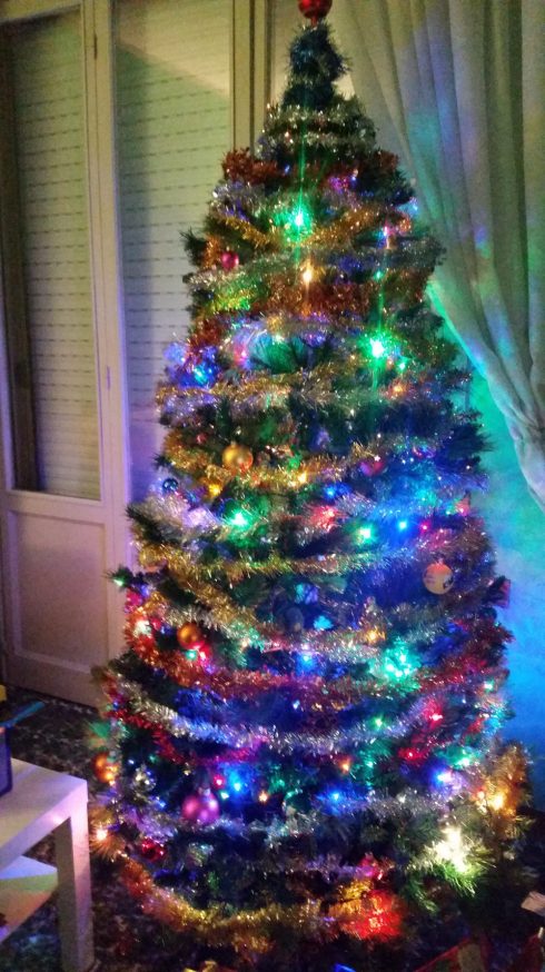 Domus Saurea 2016 - foto TT