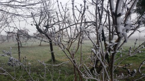 Galaverna alla Domus Saurea - dicembre 2016 - foto TT