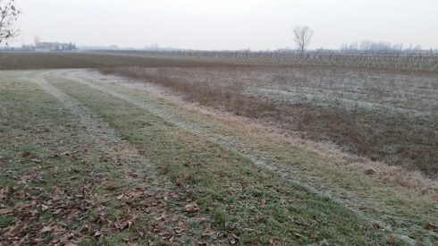 Tundra alla Domus Saurea - foto TT