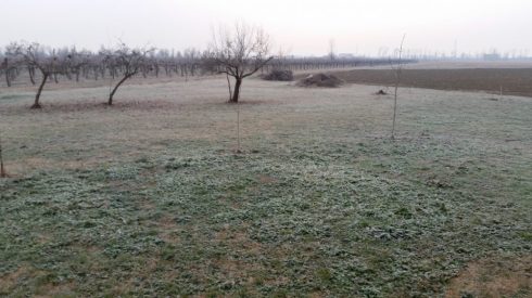 Tundra alla Domus Saurea - foto TT