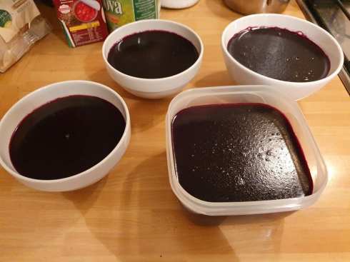 I sughi d'uva di Saura - ottobre 2020 - foto TT