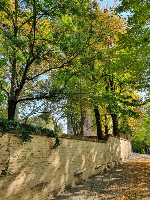 Nonantola - via del Macello - ottobre 2020 - foto TT